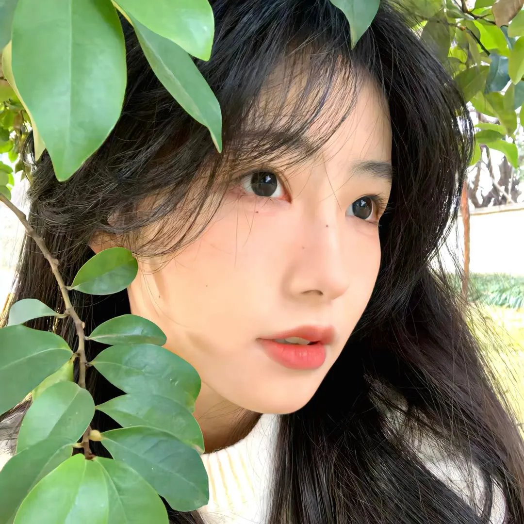 哈利,亲爱吾友